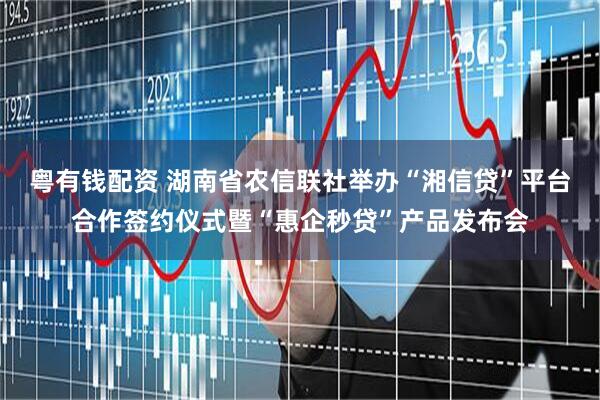 粤有钱配资 湖南省农信联社举办“湘信贷”平台合作签约仪式暨“惠企秒贷”产品发布会